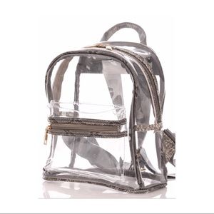 Clear backpack